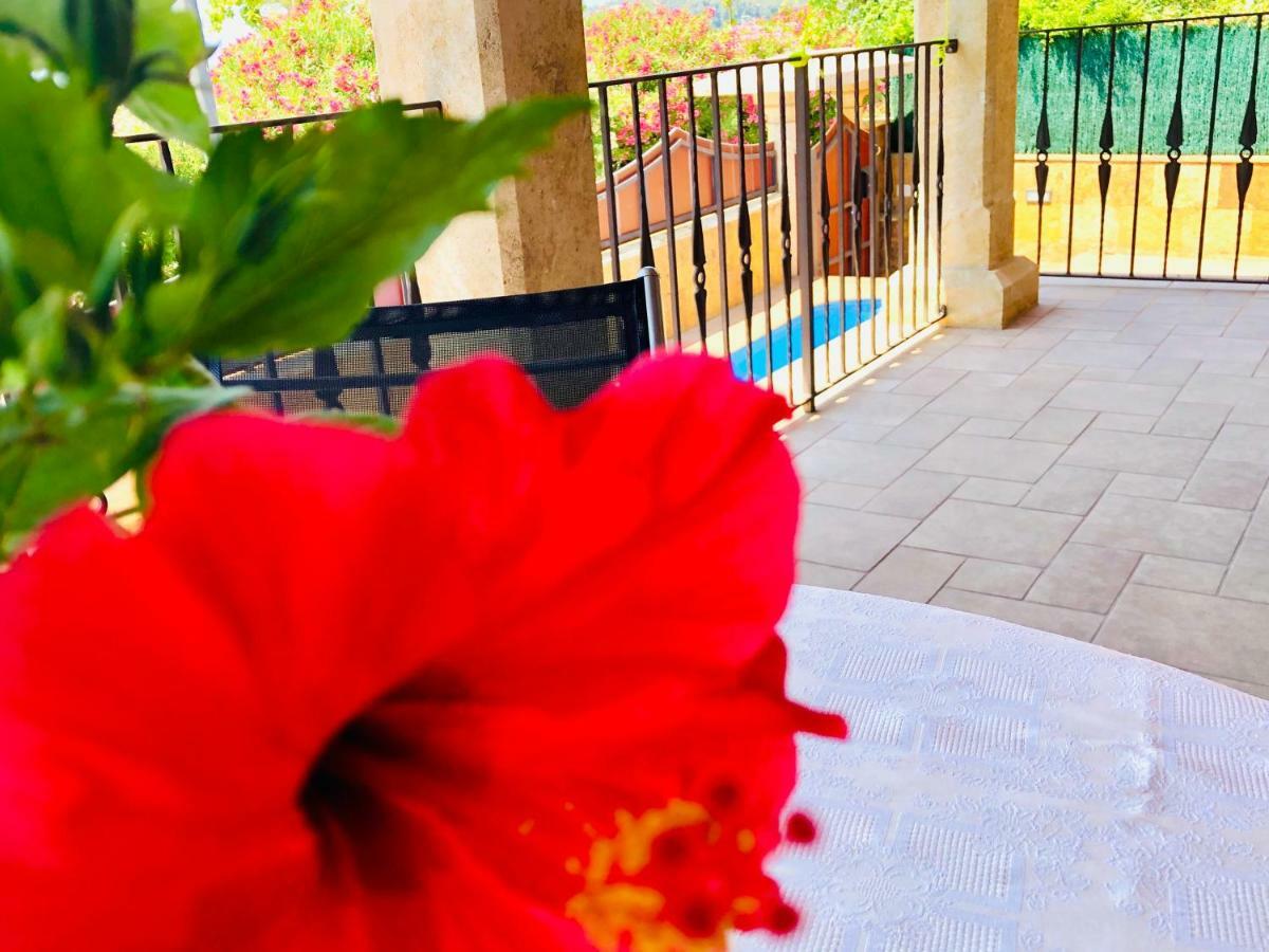 Chalet Con Piscina Privada!!! التافولا المظهر الخارجي الصورة